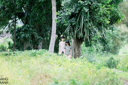 Một cảnh trong bộ phim “Tôi thấy hoa vàng trên cỏ xanh” - tác phẩm đầu tiên được Nhà nước (đặt hàng) và tư nhân hợp tác làm phim, đã tạo tiếng vang.