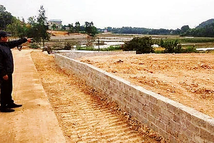 Một thửa đất cấp sổ đỏ vượt hạn mức đất ở. (Ảnh MẠNH KHÁNH)