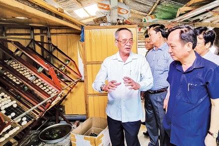 Các đồng chí lãnh đạo chủ chốt tỉnh Bạc Liêu thường xuyên kiểm tra tình hình ở các cơ sở. Ảnh: MINH ĐẠT