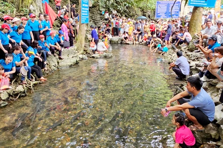 Suối cá Cẩm Lương, huyện Cẩm Thủy (Thanh Hóa) là điểm hấp dẫn khách du lịch.