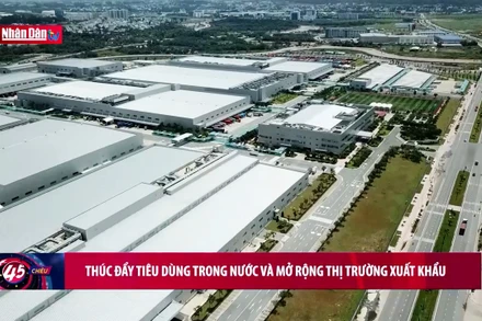 Thúc đẩy tiêu dùng trong nước và mở rộng thị trường xuất khẩu