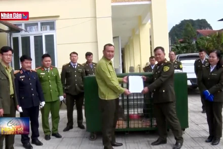 Bàn giao 4 cá thể chuột túi cho Trung tâm Cứu hộ Hoàng Liên