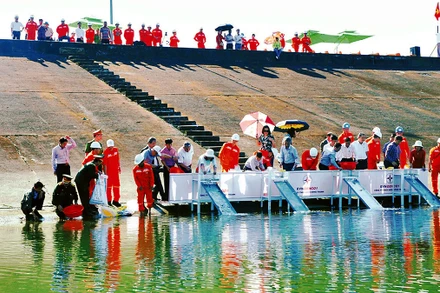 Hơn 100 nghìn cá giống các loại đã được thả xuống lòng hồ thủy điện Sông Tranh.