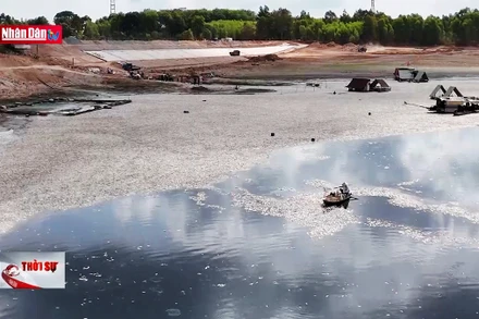 Đồng Nai hoàn thành vớt hơn 200 tấn cá chết trên hồ Sông Mây