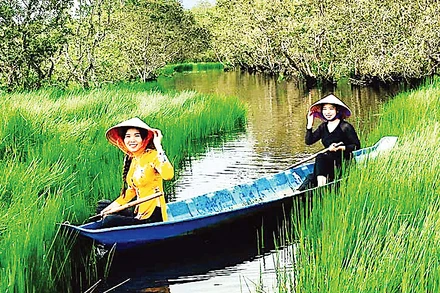 Trải nghiệm bơi xuồng ba lá len lỏi dưới tán rừng tràm U Minh Hạ (Cà Mau).