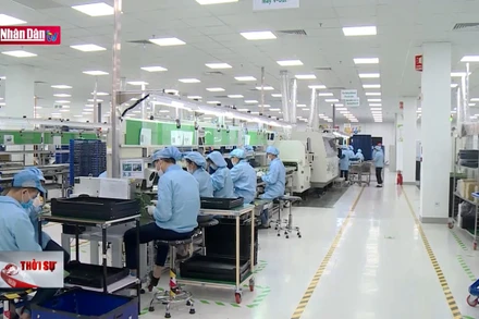 Phát huy vai trò của phụ nữ Việt Nam trong phát triển kinh tế