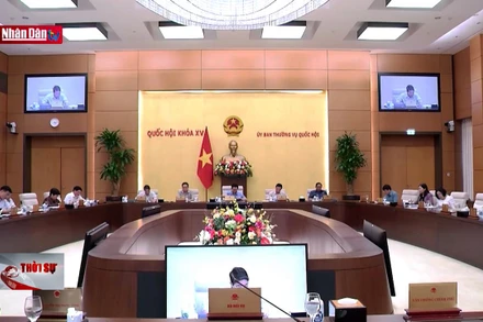 Làm rõ trách nhiệm tập thể, cá nhân trong việc chậm trễ báo cáo