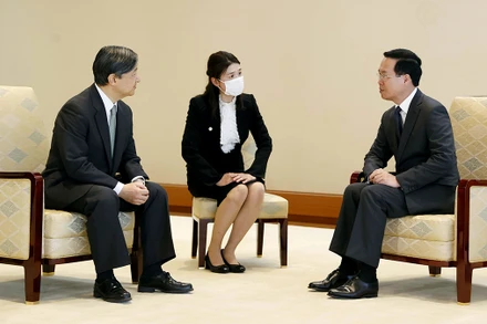 Chủ tịch nước Võ Văn Thưởng hội kiến Nhà vua Nhật Bản Naruhito. (Ảnh TTXVN)