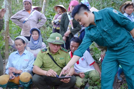 Lực lượng kiểm lâm địa bàn cùng thành viên các tổ bảo vệ rừng ở huyện Mường Chà đi tuần tra, bảo vệ rừng trước nguy cơ nắng hạn.