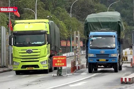 Lạng Sơn đảm bảo xuất nhâp khẩu thông suốt trong Tết