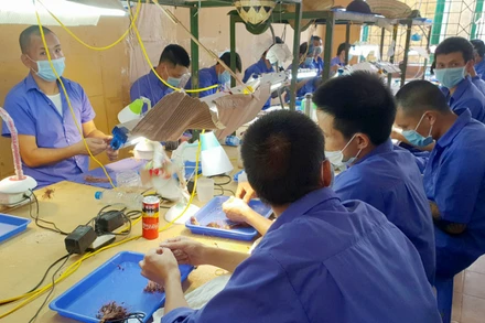 Các học viên được đào tạo nghề trong cơ sở cai nghiện ma túy bắt buộc.