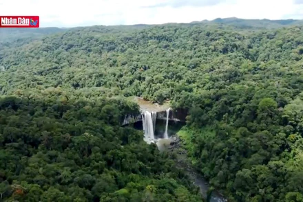 Thác K50: Nàng tiên giữa đại ngàn Tây Nguyên hùng vĩ