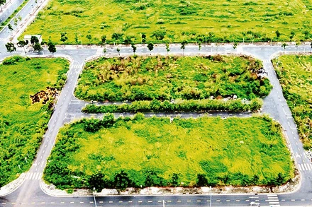 Khu đất chuẩn bị đưa ra đấu giá tại quận Long Biên.