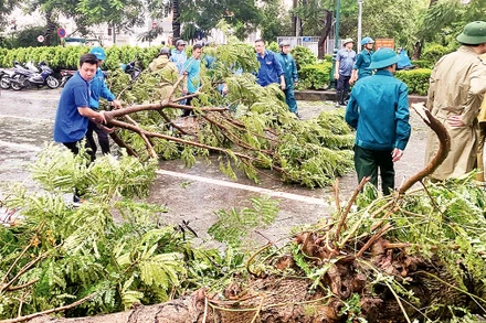 Thanh niên tình nguyện Thủ đô hỗ trợ lực lượng chức năng dọn dẹp cây xanh bị đổ do bão số 3.