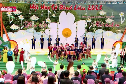 Về Bình Liêu mùa hoa sở trắng