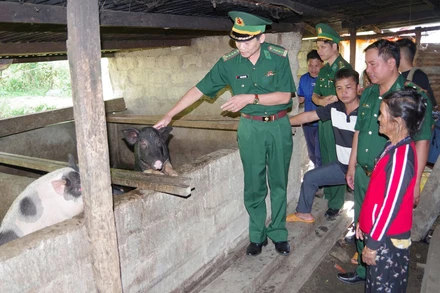 Đại tá Hoàng Văn Mẫn, Chính ủy Bộ Chỉ huy Bộ đội Biên phòng tỉnh Quảng Nam hướng dẫn hội viên phụ nữ vùng biên cách chăn nuôi lợn hiệu quả.