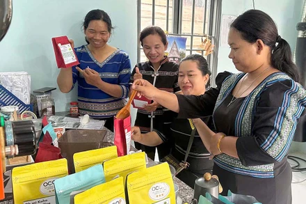 Thành viên Tổ hợp tác cà-phê hữu cơ Oh mi Koho coffee đóng gói sản phẩm.