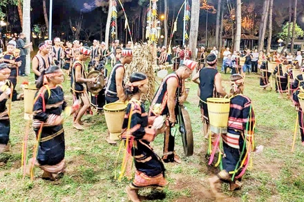 Lễ hội của người Ba Na ở Gia Lai.