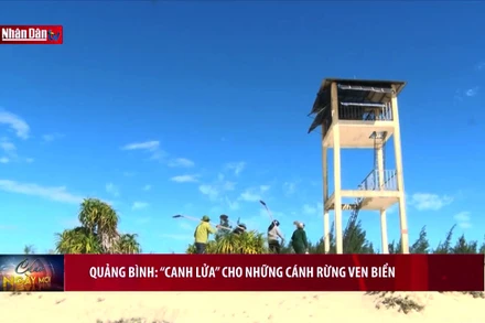 Quảng Bình: “Canh lửa” cho những cánh rừng ven biển