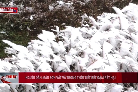 Người dân Mẫu Sơn vất vả trong thời tiết rét đậm rét hại