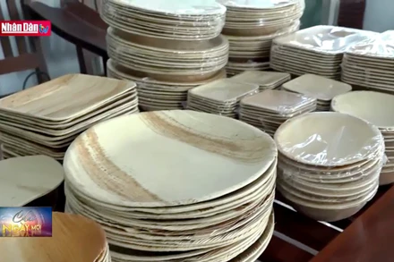 Độc đáo sản phẩm hữu cơ từ mo cau