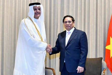 Thúc đẩy hợp tác trong lĩnh vực công nghệ thông tin giữa Việt Nam và Qatar