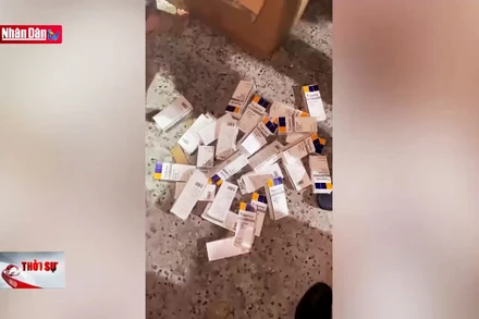 Tạm giữ gần 8.000 hộp thuốc tân dược không hóa đơn chứng từ