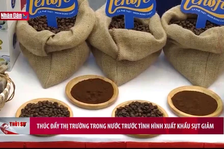 Thúc đẩy thị trường trong nước trước tình hình xuất khẩu sụt giảm