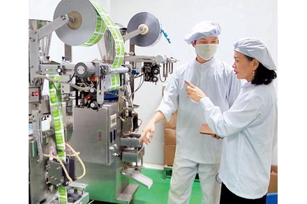 Chế biến, đóng gói sản phẩm từ cây dược liệu.