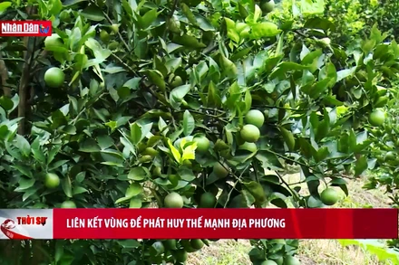 Liên kết vùng để phát huy thế mạnh địa phương