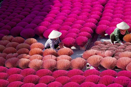 Rực rỡ làng hương Quảng Phú Cầu