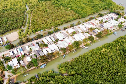 Chuẩn bị nhân lực đón đầu cơ hội từ thị trường tín chỉ carbon