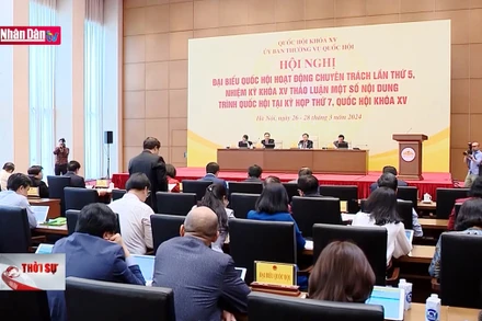 Cân nhắc quy định mở rộng đấu giá biển số xe