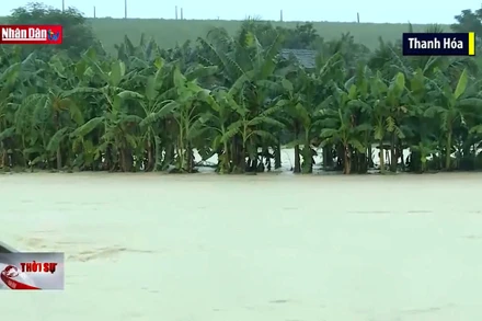 Mưa lũ gây thiệt hại cho người dân miền Trung