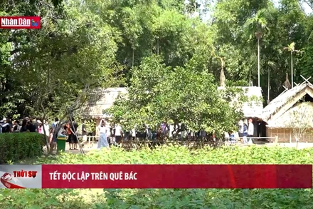 Tết Độc lập trên quê Bác