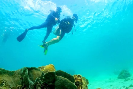 Phú Quốc (tỉnh Kiên Giang) có nhiều điểm lặn biển hấp dẫn du khách trong nước và quốc tế. (Ảnh OnBird Phú Quốc)