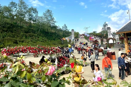 Nhiều du khách đến Sa Pa vào dịp nghỉ lễ.