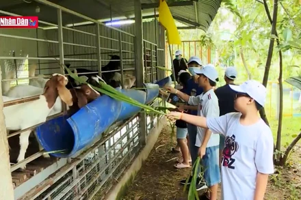 Độc đáo mô hình du lịch nông nghiệp