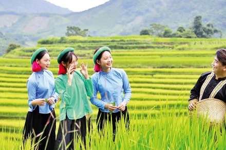 Các chàng trai, cô gái Sán Chỉ chụp ảnh bên những thửa ruộng bậc thang rực rỡ sắc mầu.