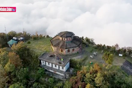 Vườn Quốc gia Bạch Mã