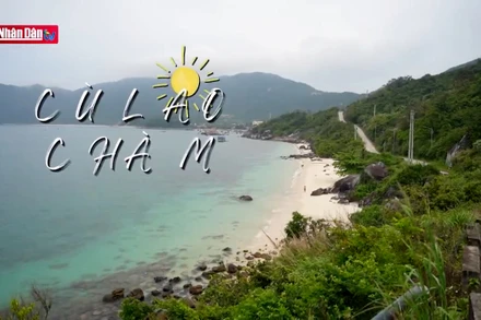 Một ngày ở Cù Lao Chàm