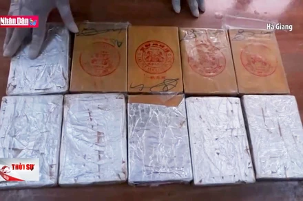 Liên tiếp bắt các đối tượng vận chuyển trái phép ma túy