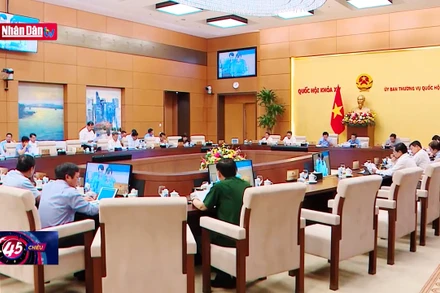 Rà soát để luật không chồng chéo