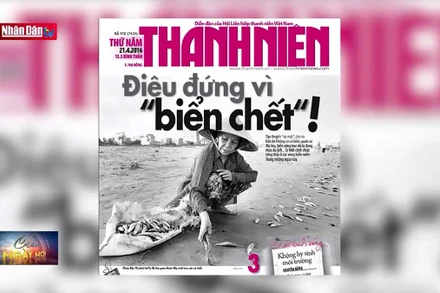 Nỗ lực bảo vệ bản quyền tác phẩm nhiếp ảnh