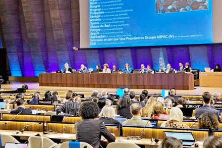 Ðại diện Việt Nam phát biểu tại kỳ họp lần thứ 216 Hội đồng Chấp hành của UNESCO. (Ảnh MINH DUY)