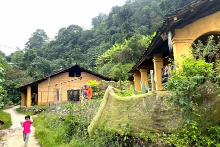 Những ngôi nhà trình tường hơn 60 năm tuổi.