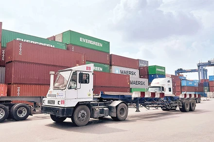 Nhiều container vô chủ tồn đọng tại cảng Cát Lái, thành phố Thủ Đức.