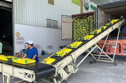 Đóng gói gạo xuất khẩu ở Công ty cổ phần Nông nghiệp công nghệ cao Trung An, TP Cần Thơ. (Ảnh MINH ANH)