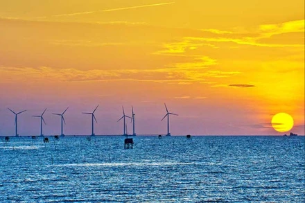 Điện gió ở Bạc Liêu. (Ảnh LÊ NGUYỄN)