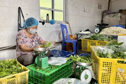 Sơ chế rau tại Hợp tác xã sản xuất và dịch vụ nông nghiệp Thanh Hà (Hà Nội).